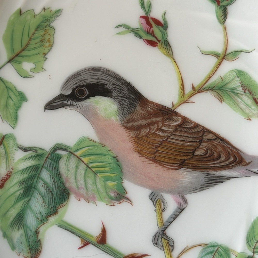 Haviland Limoges France Pie Grieche bird plate - Picture 4 of 6